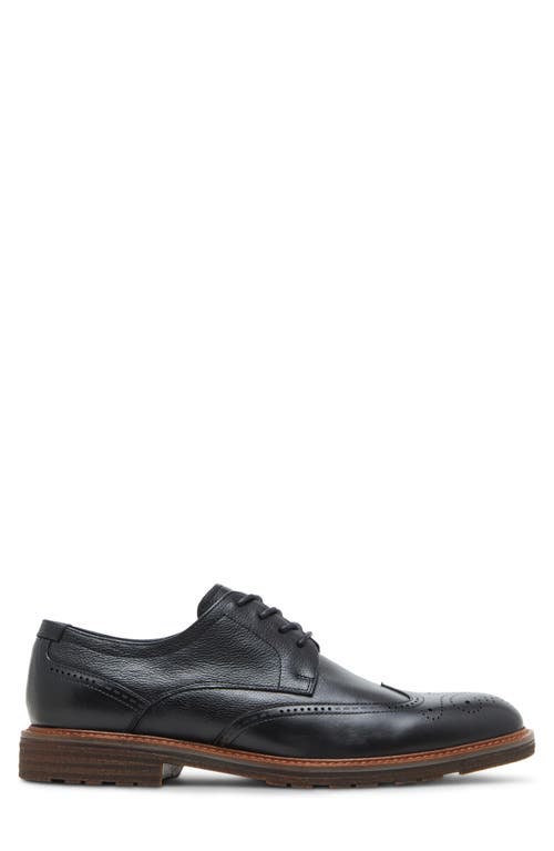Steve Madden Acari Wingtip Derby In Black