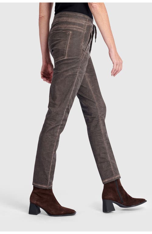 Alembika Washed Iconic Stretch Jeans In Brown