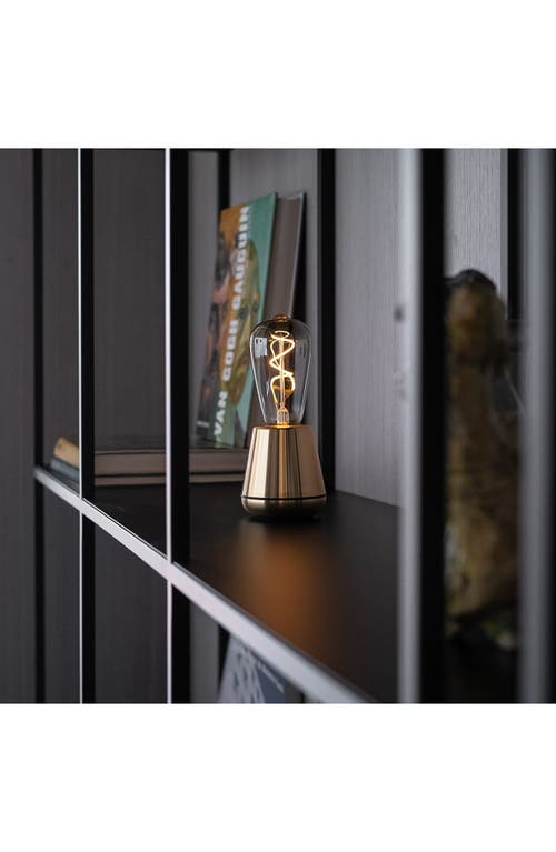 Ameico Humble One Wireless Table Lamp In Gold