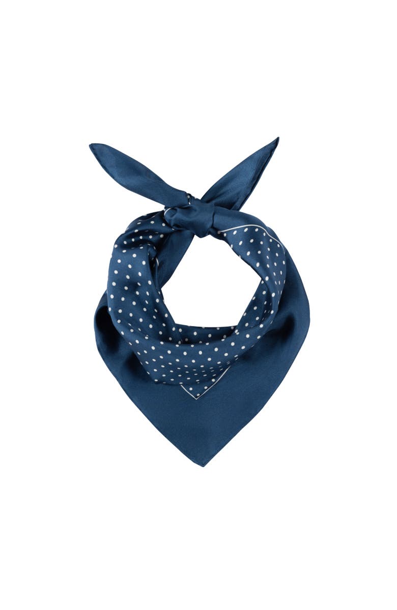 Lauren Ralph Lauren Dot With Logo Small Square, Alternate, color, Navy