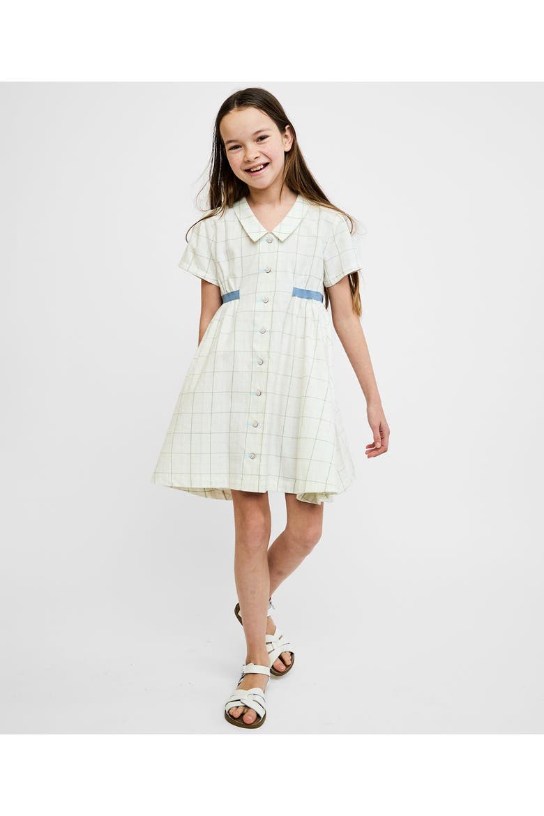 Shirt Dress, Alternate, color, Ivory