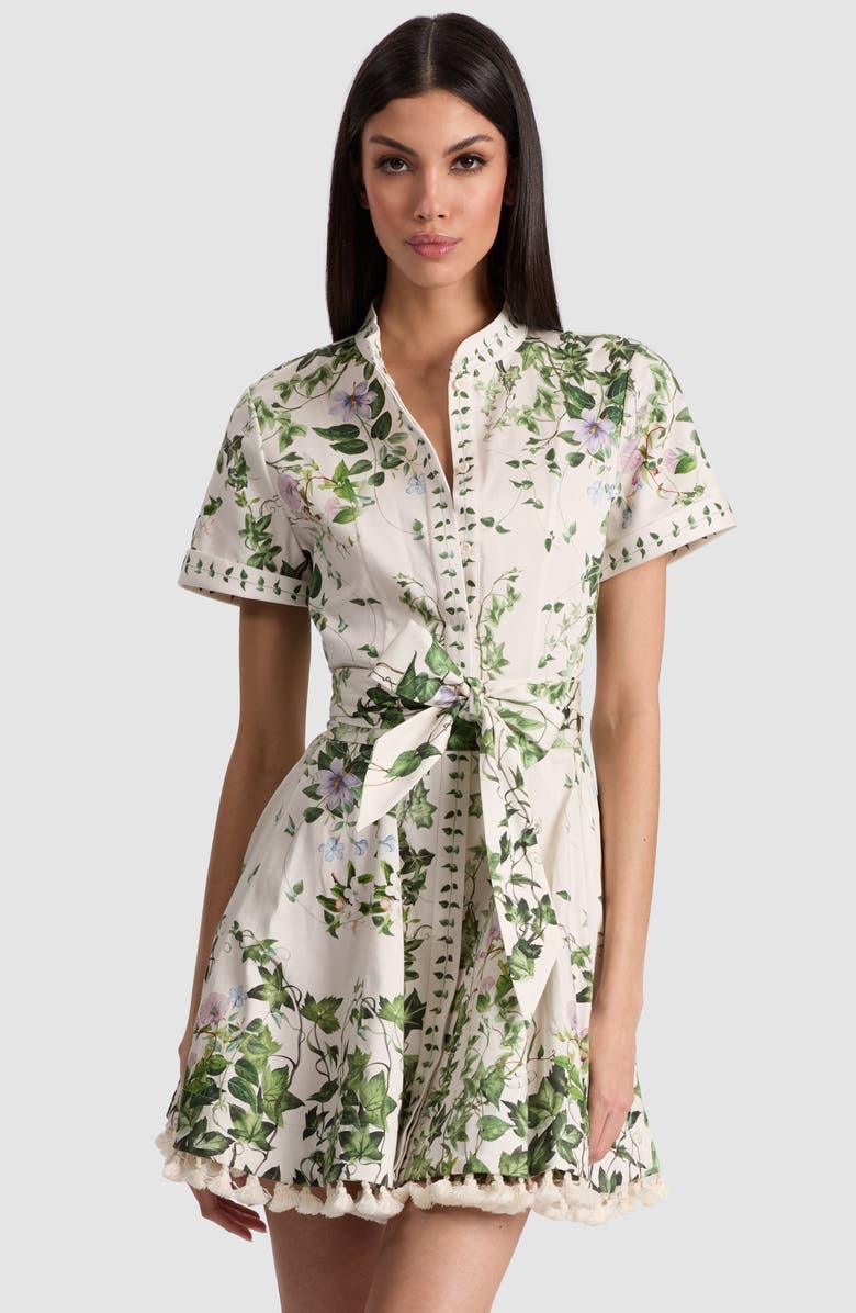 Lucy Stretch Cotton Mini Shirtdress