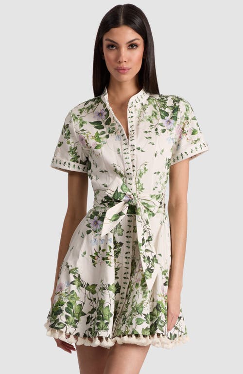 Alice And Olivia Lucy Rolled Sleeve Mini Shirt Dress Ivy Romance In Multi