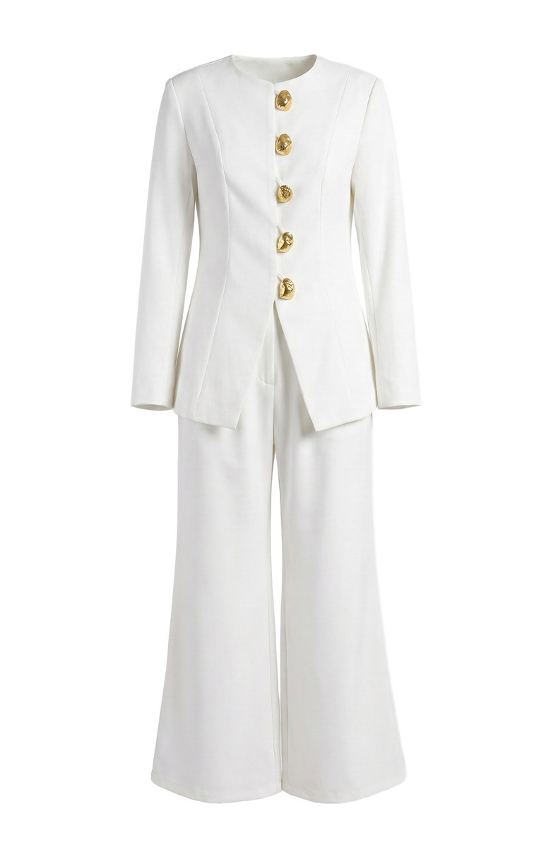 Modenaire Tailored Button Front Jacket and Wide Leg Pants Set, Alternate, color, Ivory