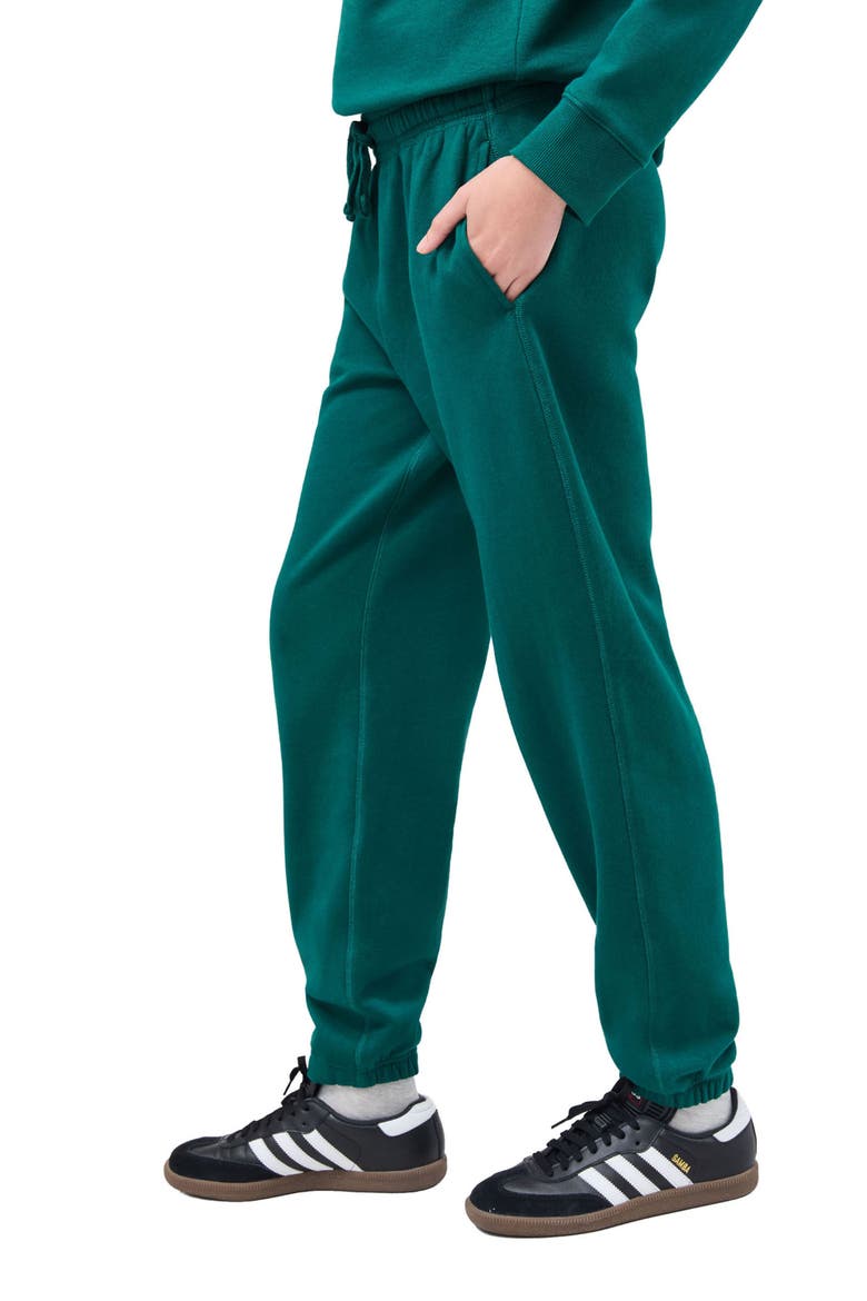 The Recycled Fleece Classic Sweatpant, Alternate, color, Rainforest