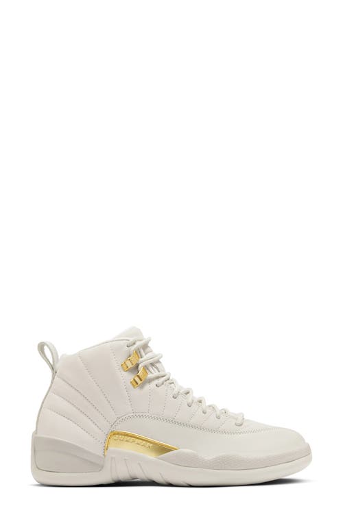 Jordan Air 12 Retro High Top Sneaker In Multi