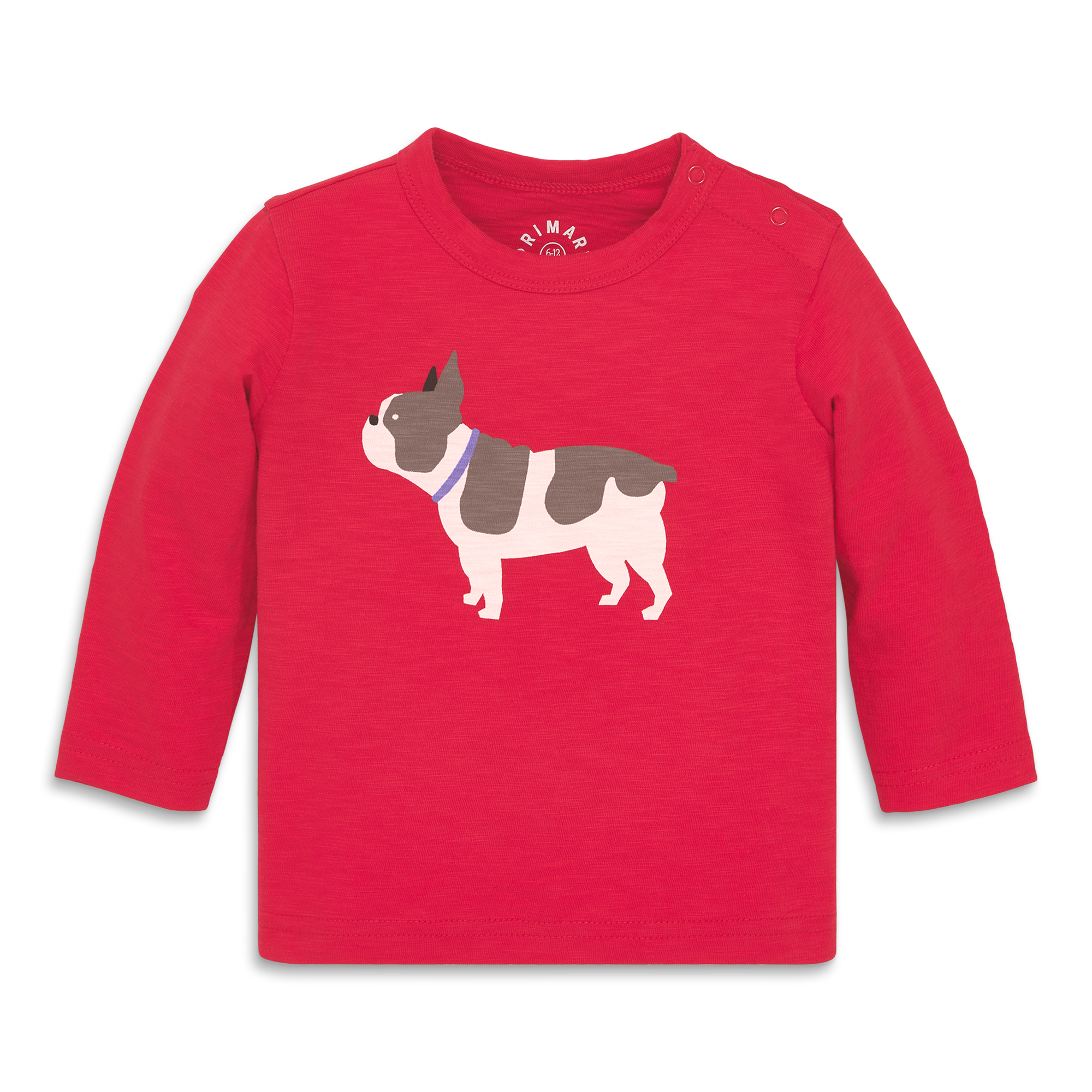 selected Lollipop Frenchie