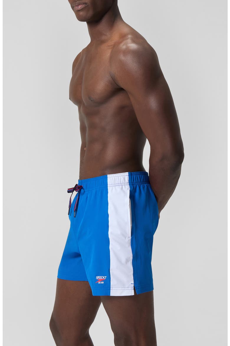 Volley 16-Inch Swim Trunks, Alternate, color, BLUE