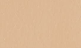 selected TRANSFORMING NEUTRAL BEIGE