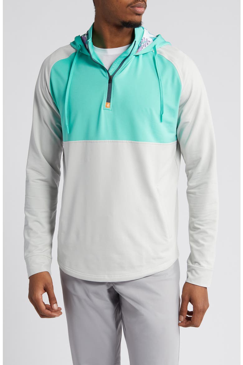 Logan Colorblock Half Zip Hoodie, Main, color, CACTUS