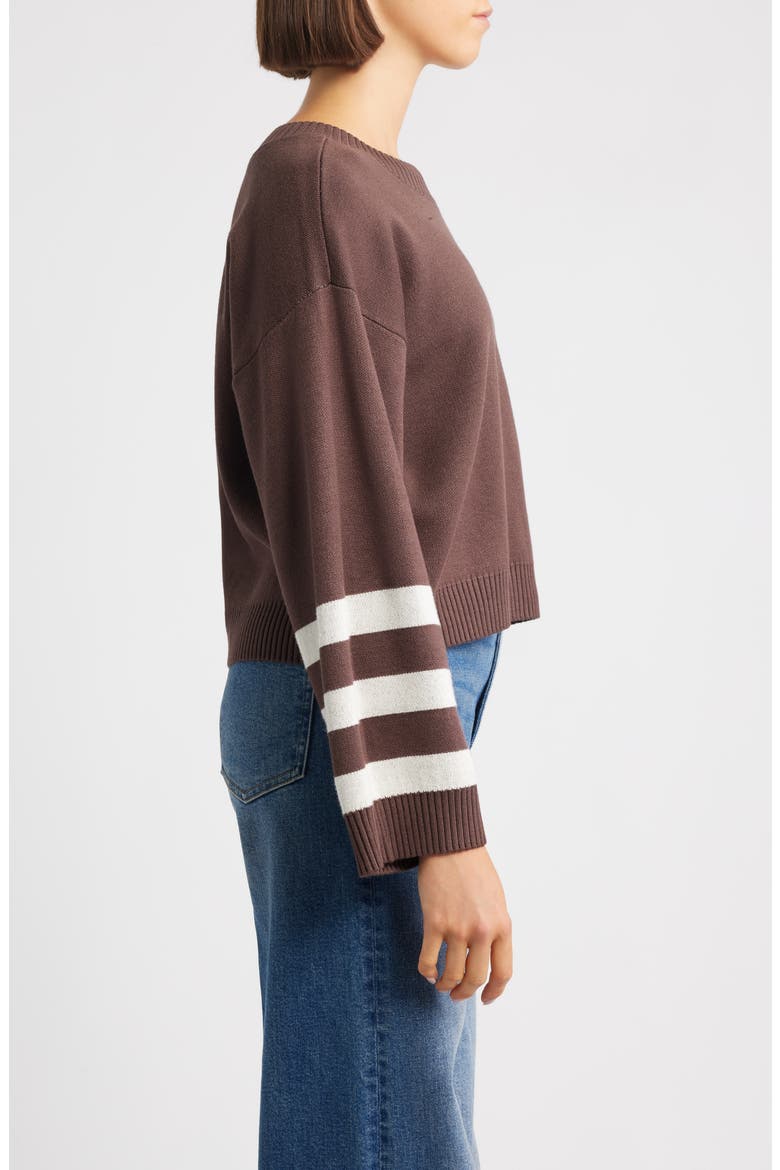 Crop Stripe Sleeve Sweater, Alternate, color, EARTH