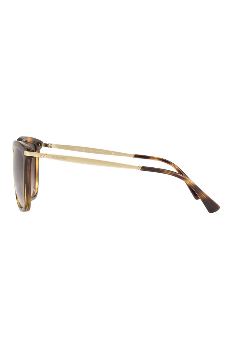 Ralph Lauren 55mm Gradient Cat Eye Sunglasses, Alternate, color, DARK HAVANA