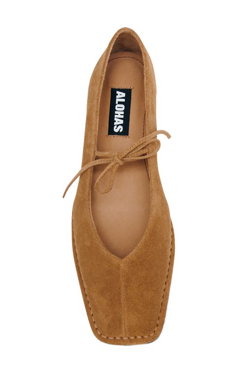 Alohas Sway Square Toe Ballet Flat In Multi