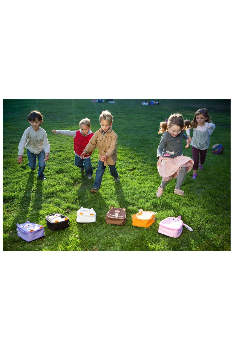 Water Resistant Insulated Lunch Pack, Alternate, color, CUBBY