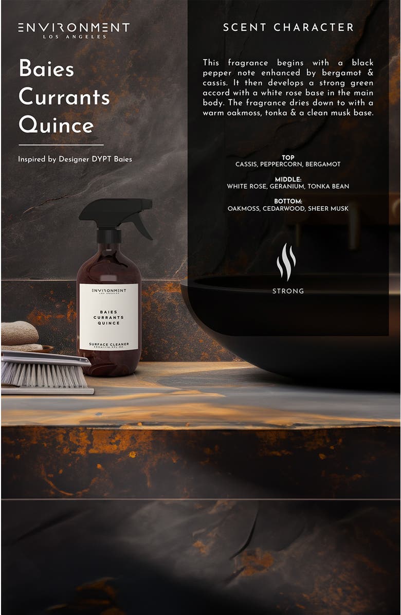 ENVIRONMENT Inspired by Designer Perfume Surface Cleaner, Alternate, color, Baies | Currants | Quince