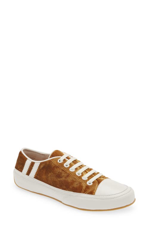 Cecelia New York Rookie Sneaker in Gold Velvet 