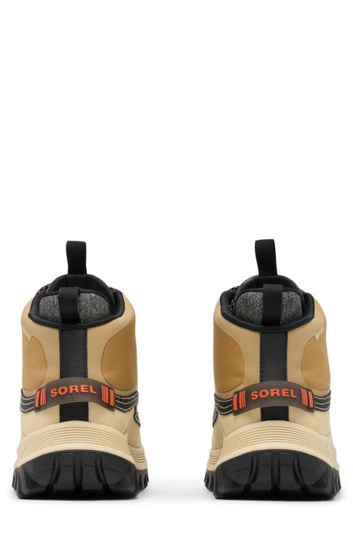 Sorel Callsign Horizon™ Mid Gtx Gore-tex® Waterproof Sneaker In Neutral