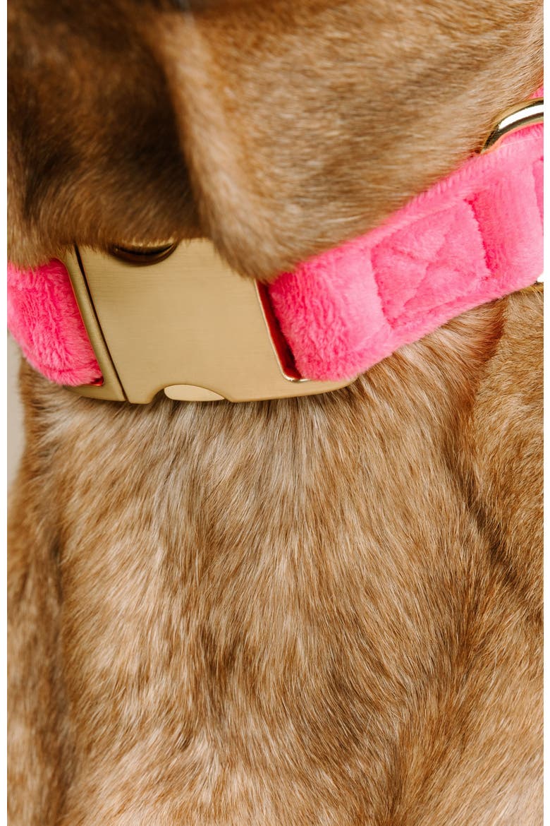 Valentina Dog Collar, Alternate, color, Valentina