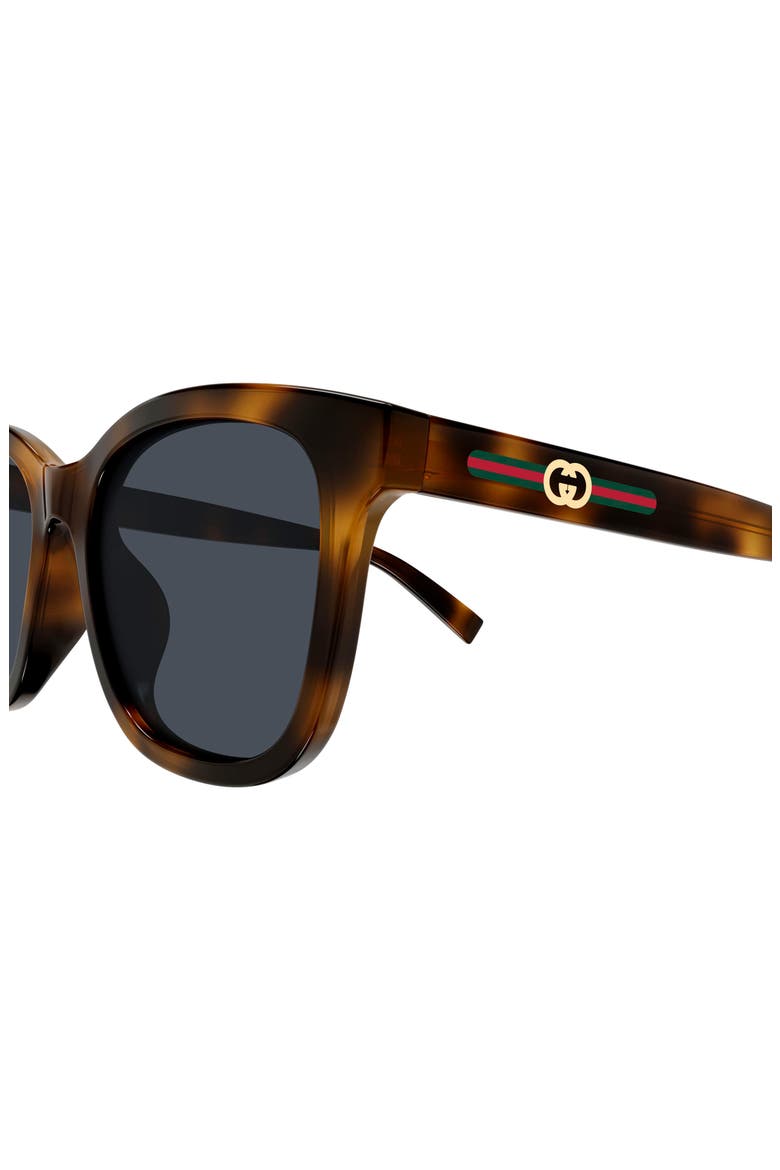 55mm Panthos Sunglasses, Alternate, color, HAVANA