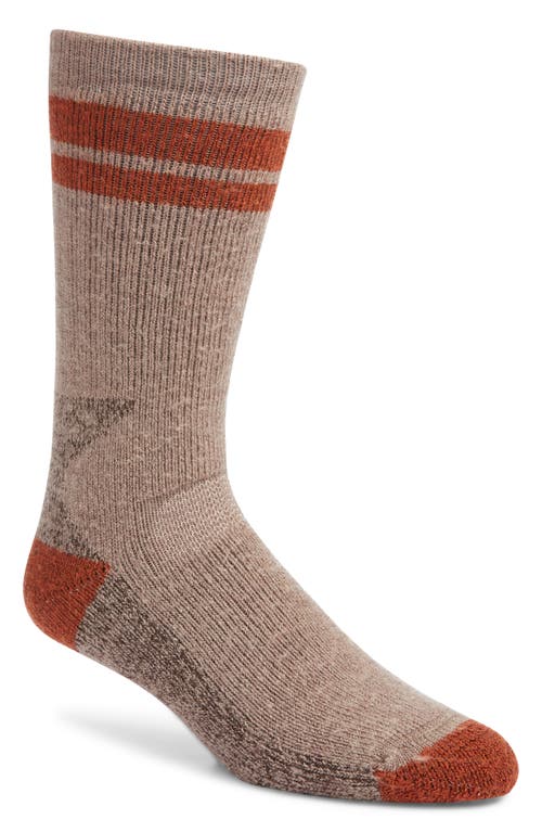 Smartwool Mountaineer Maximum Cushion Tall Wool Blend Socks In Brown
