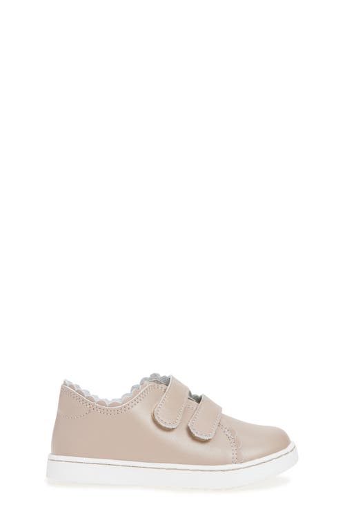 L'amour Caroline Scallop Sneaker In Brown