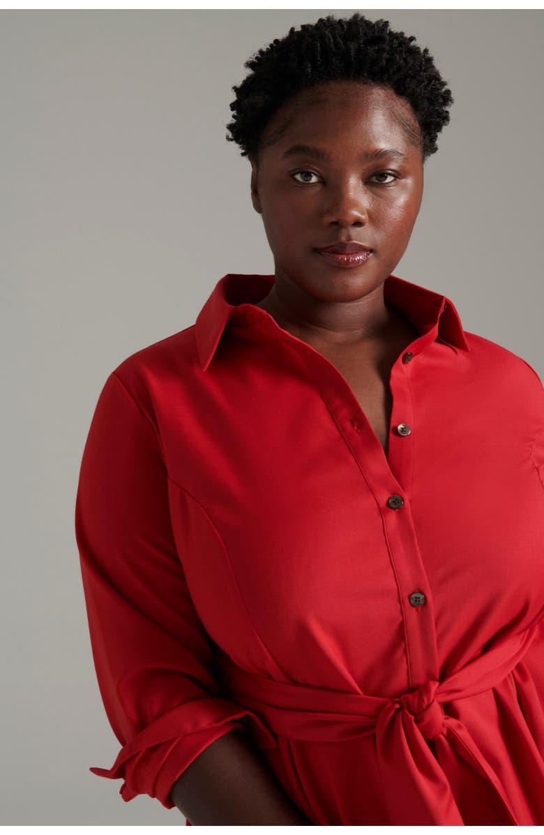 Pari Passu Wool Tace Shirtdress, Alternate, color,