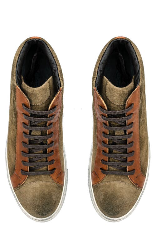 Belvedere Ruben High Top Sneaker In Ant. Cognac