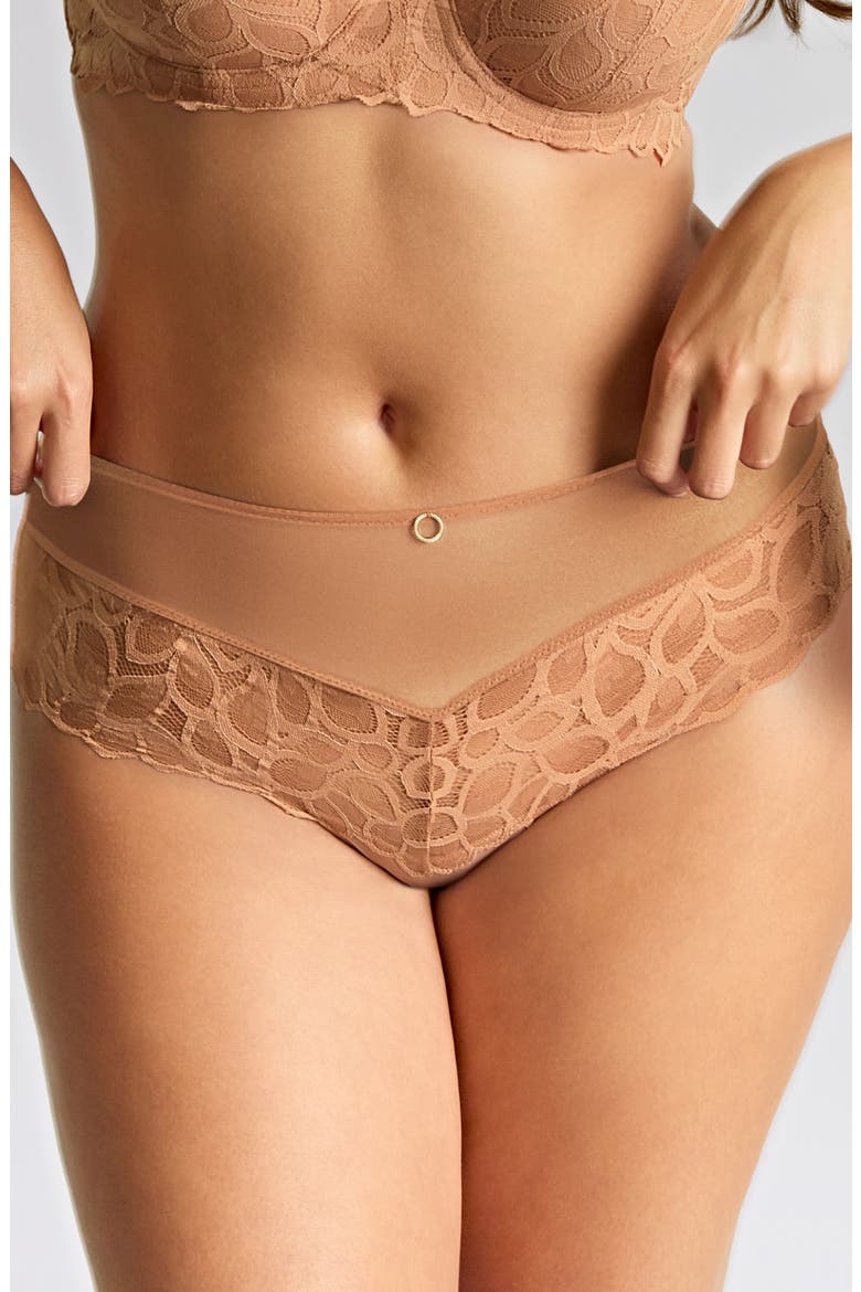 Allure Lace Cheeky Briefs, Main, color, HONEY
