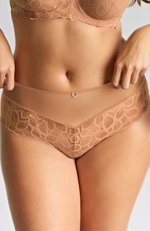 Panache Allure Lace Cheeky Briefs In Brown