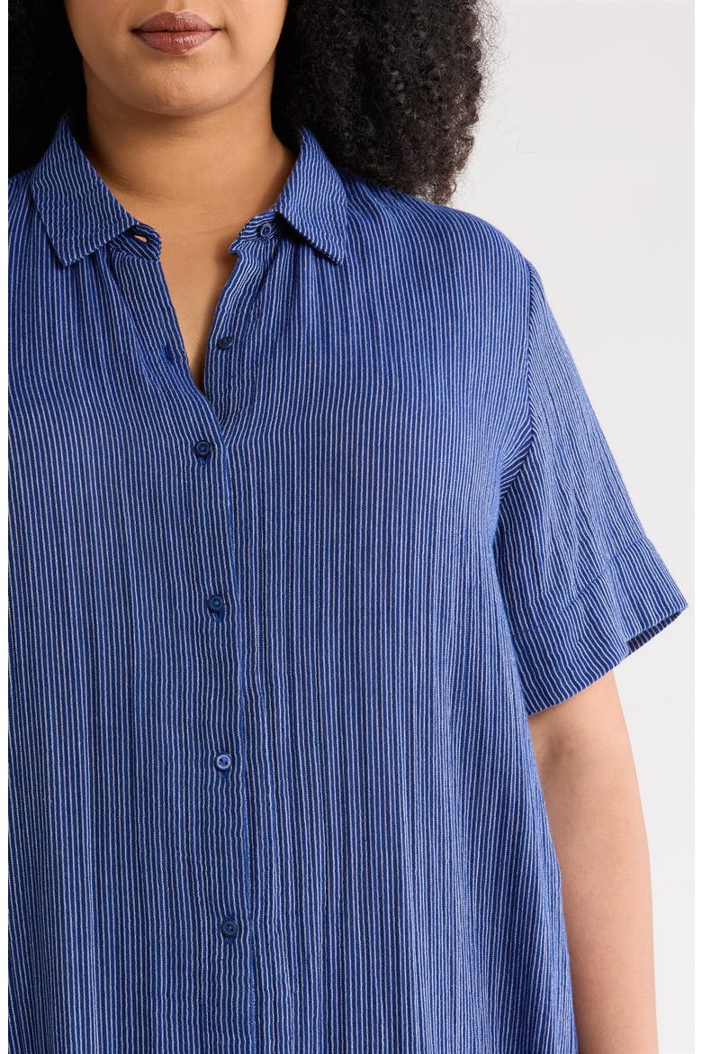 Classic Collar Organic Cotton Shirtdress, Alternate, color, DEEP DIVE
