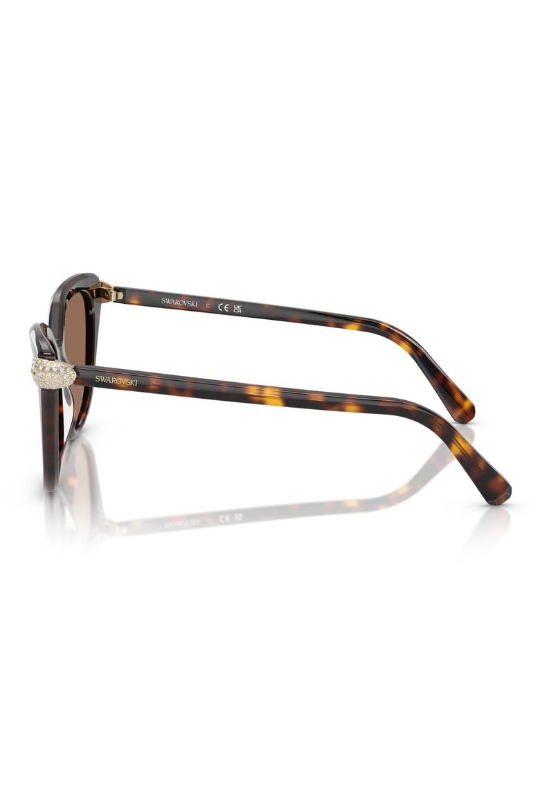 SK6039F 56mm Cat Eye Sunglasses, Alternate, color, HAVANA / DARK BROWN