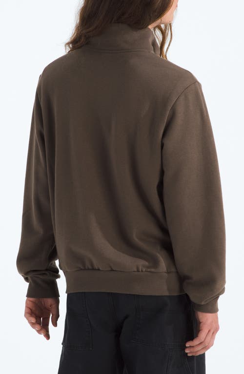 The North Face Evolution Quarter Zip In Brown