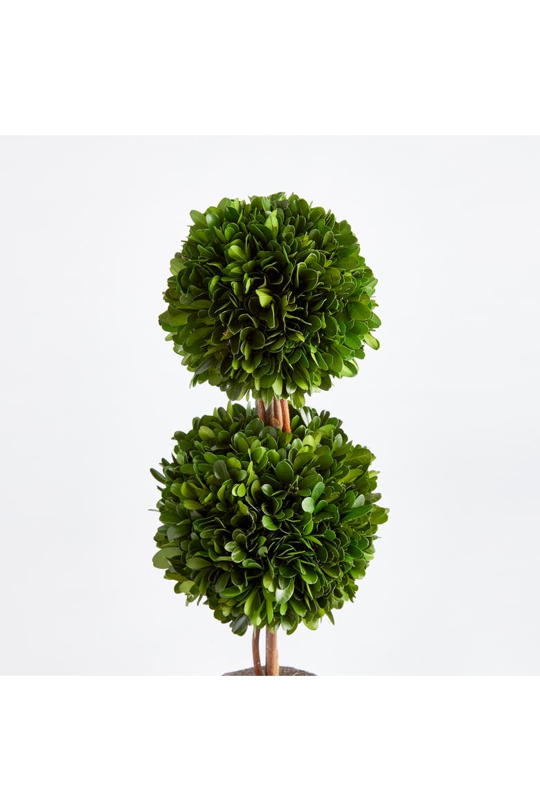 Boxwood Double Sphere Topiary Drop-In 20", Alternate, color, Green