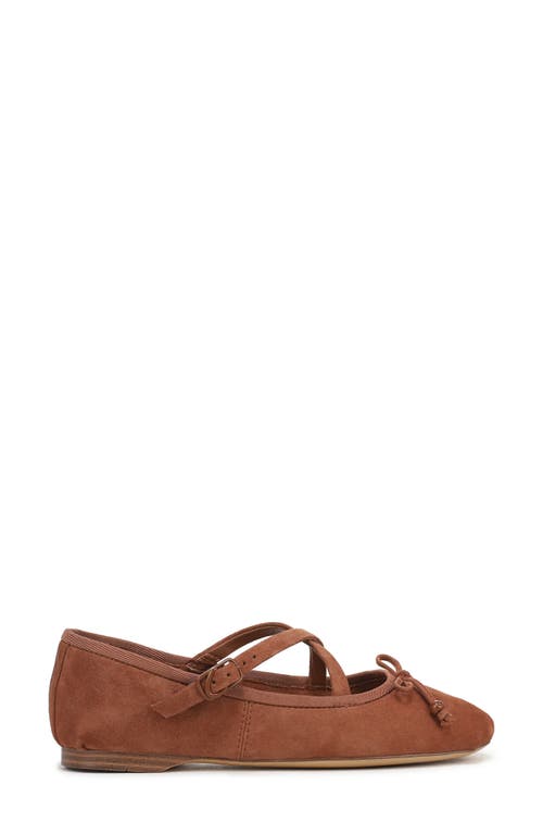 Circus Ny By Sam Edelman Zuri Strappy Ballet Flat In Brown