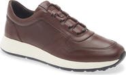 Tod's Sportivo 7 Red Dot Sneaker