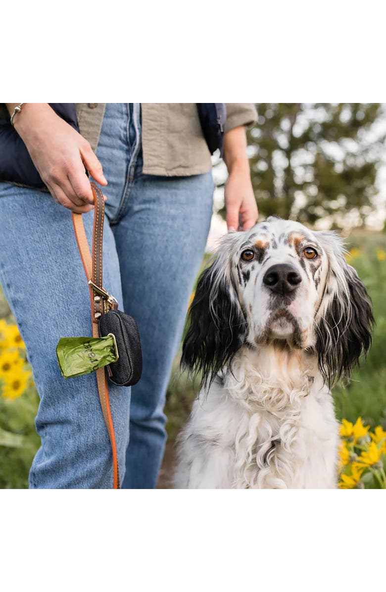 P.L.A.Y. Proper Pup Bag Dispenser, Alternate, color, Multicolored