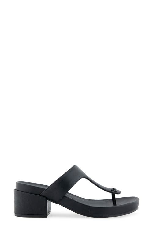 AEROSOLES AEROSOLES CLIO T-STRAP SANDAL