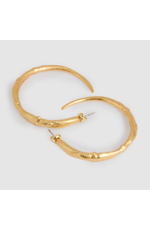 Reiss Molly Molten Hoop Earrings In Gold Tone