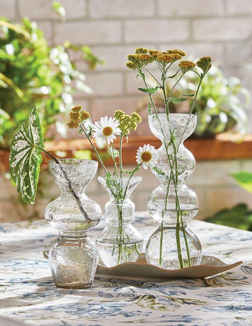 Tag Bella Pebble Large Clear Glass Decorative Novelty Vase In Transparent