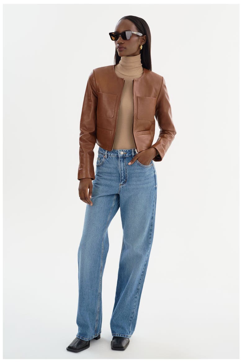 LINETTE | Leather Jacket, Alternate, color, Luggage