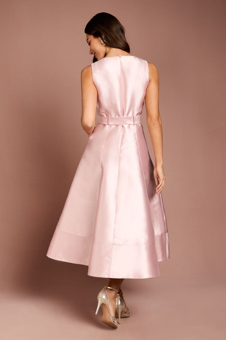 Button Through Belted A-Line Dress, Alternate, color, Blush