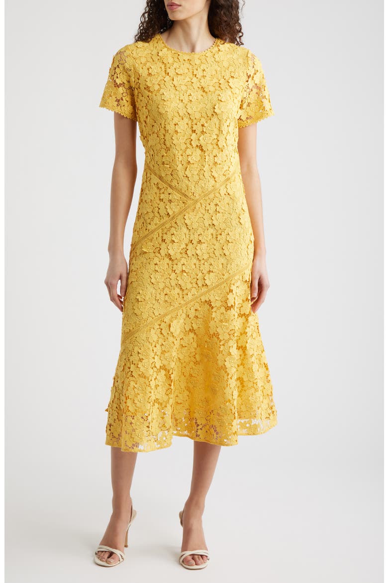 gold lace midi dress Debenhams Women's Runway 1.8.1.8 Lace Trim Midi Dress in Gold