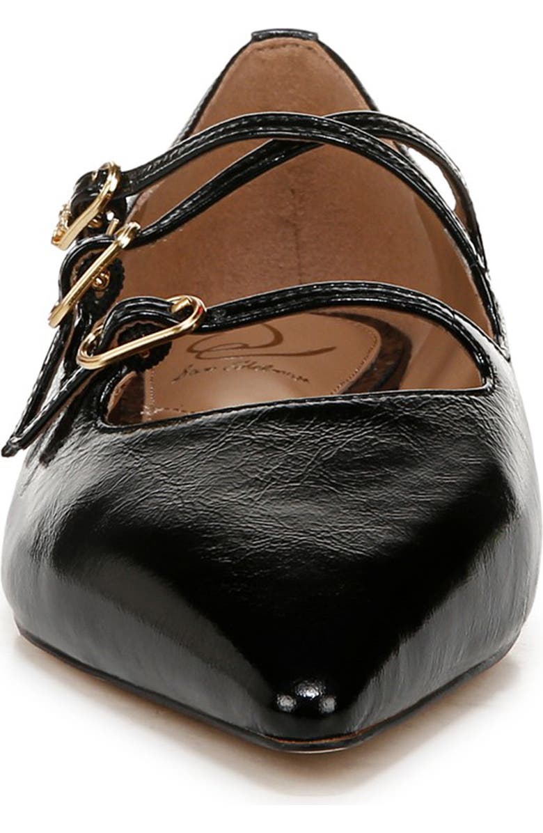 Sam Edelman Cass Pointed Toe Flat, Alternate, color,