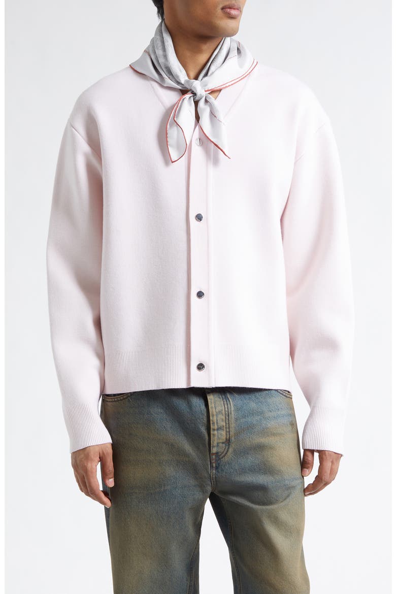 Le Cardigan Doppio Merino Wool Blend Cardigan, Main, color, LIGHT PINK