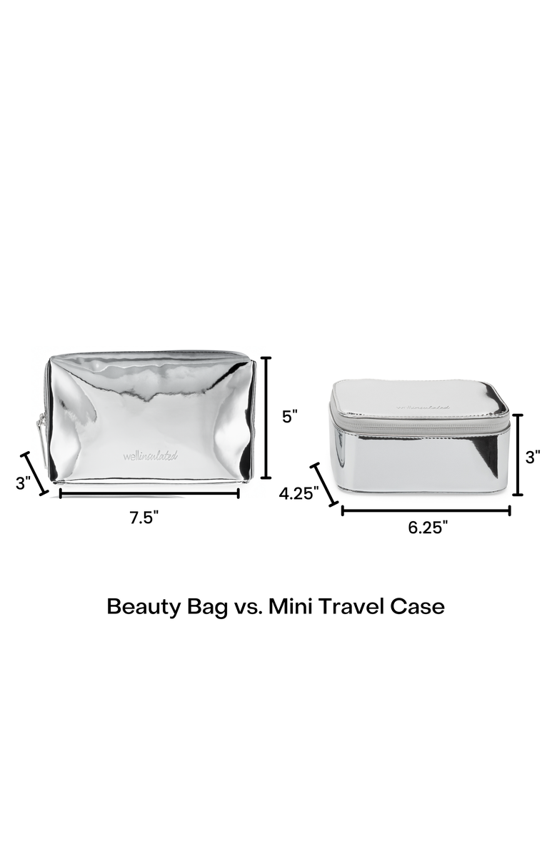 WELLinsulated Performance Mini Travel Case, Alternate, color, Silver