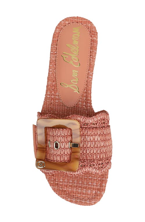 Sam Edelman Bambi Raffia Buckle Slide Sandal In Brown