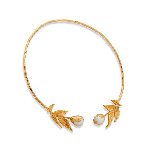 Dhwani Bhansal Reva Choker In Gold Plated