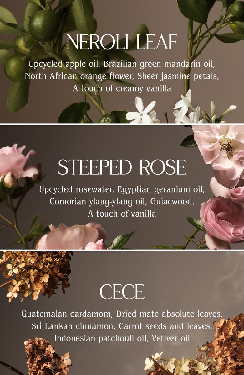 Homecourt Candle Discovery Set $75 Value, Alternate, color, 