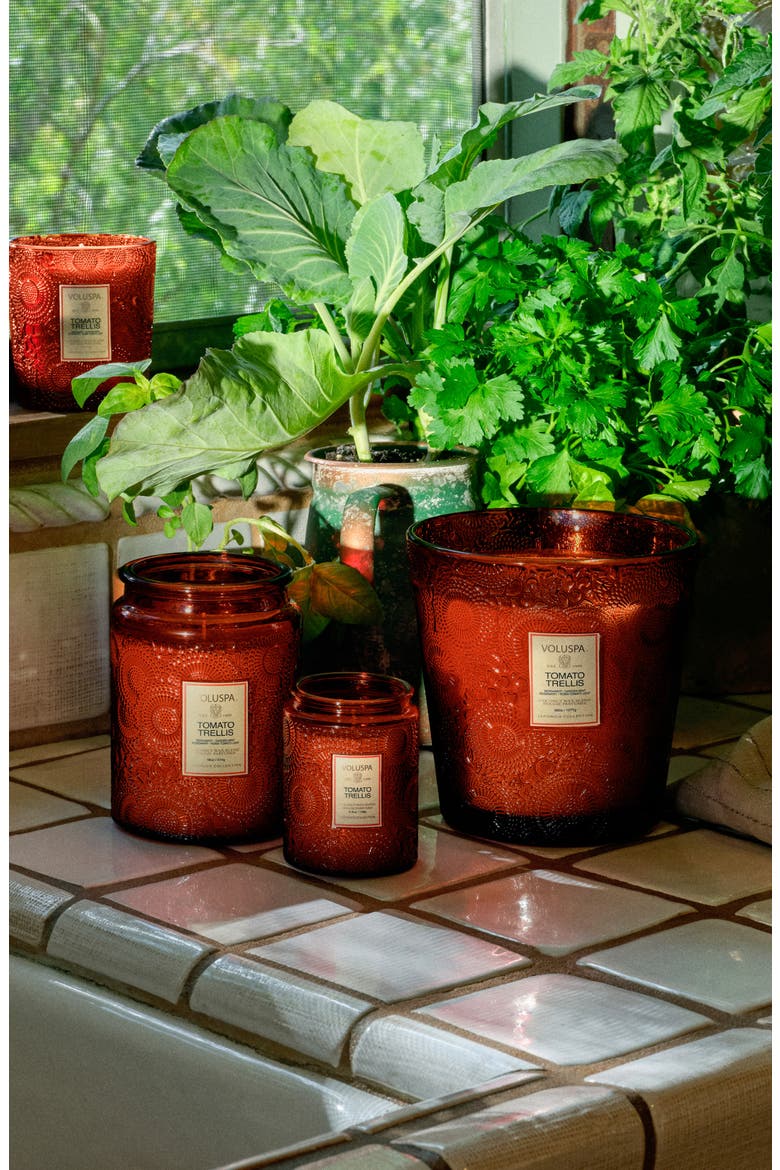 Tomato Trellis Three-Wick Hearth Candle, Alternate, color, TOMATO TRELLIS