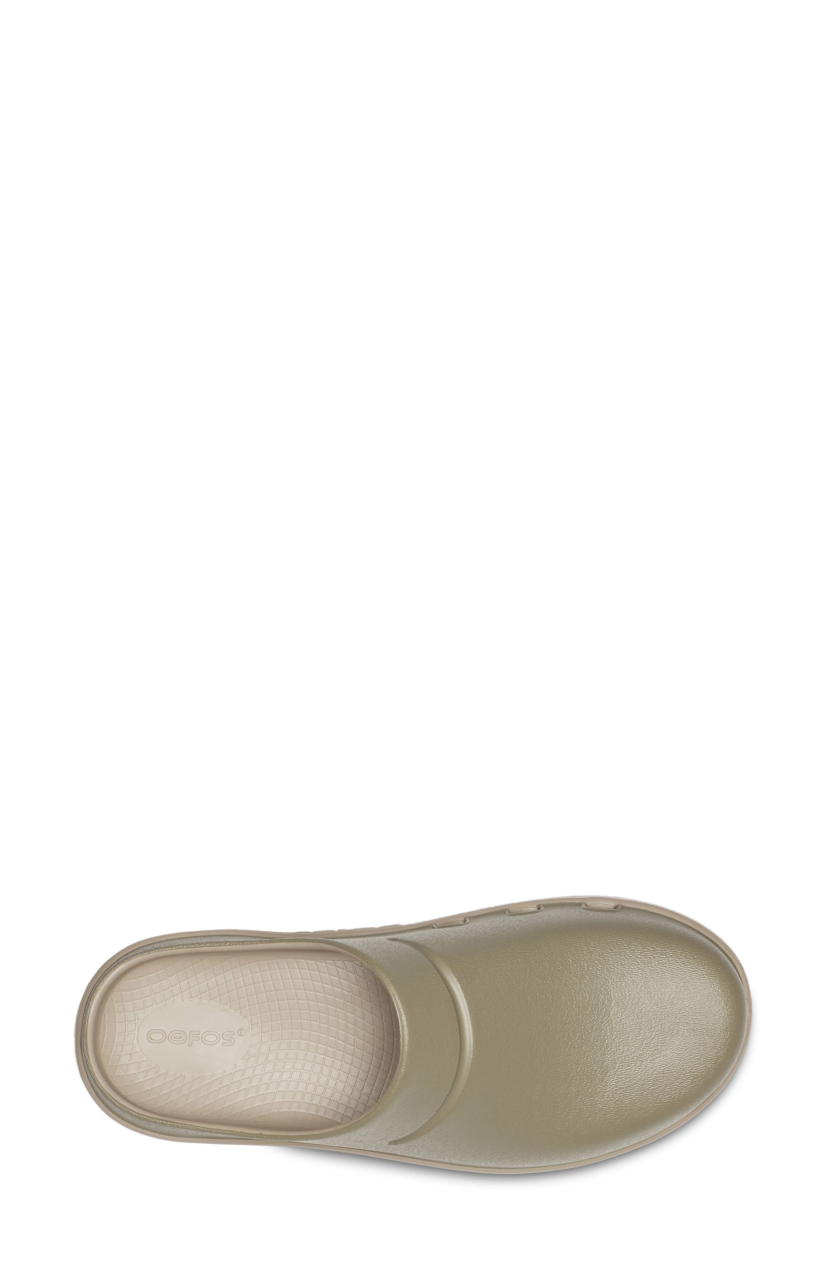 Clog, Alternate, color, FOLIAGE